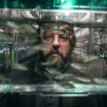 Diving deep: Understanding skeletal conditions with fish models