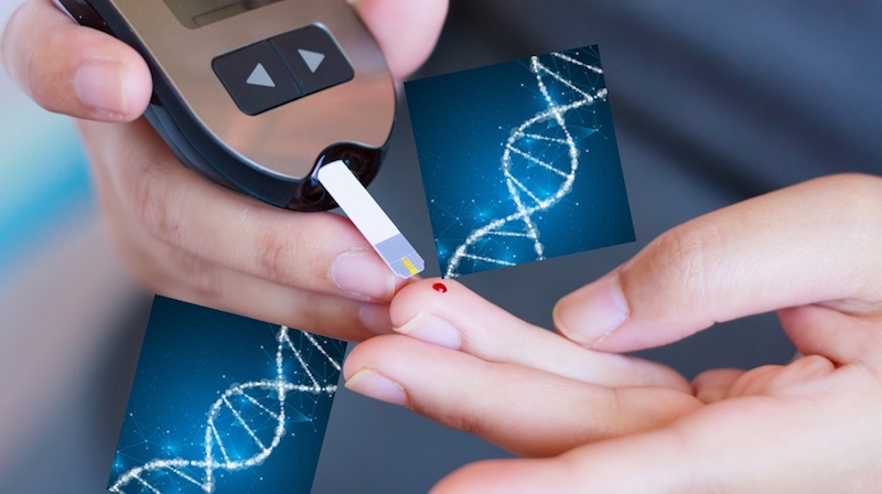 diabetes genes