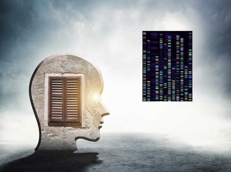 autism genes concept