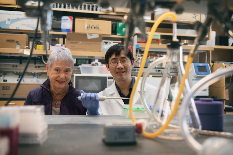 Multiple sclerosis researchers Eileen Remold O'Donnell and Lifei How