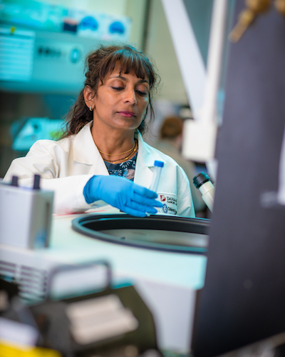 Rani George has shown that BORIS forms chromatin loops associated with cancer drug resistance