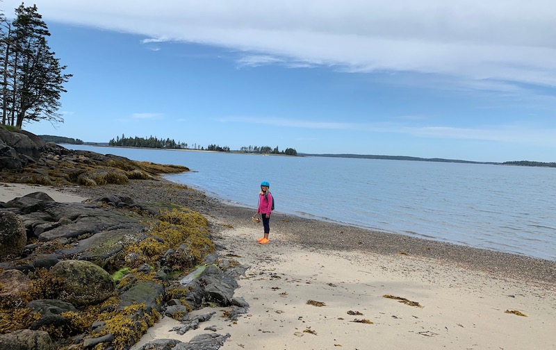 Maddie collecting rocks in Maine for a project at Boston Children's Hospital