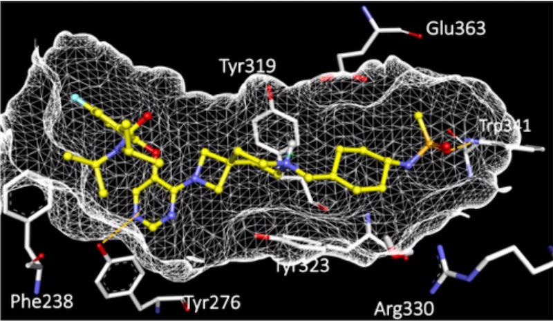 VTP50469, an experimental agent for MLL-rearranged leukemia