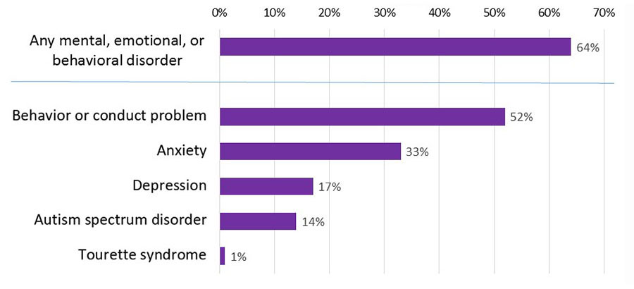 Chart listing prevalence of ADHD and other conditions