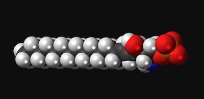 Sphingosine-1-phosphate (S1P)