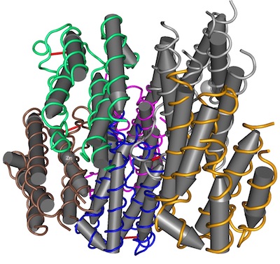 interferon alpha