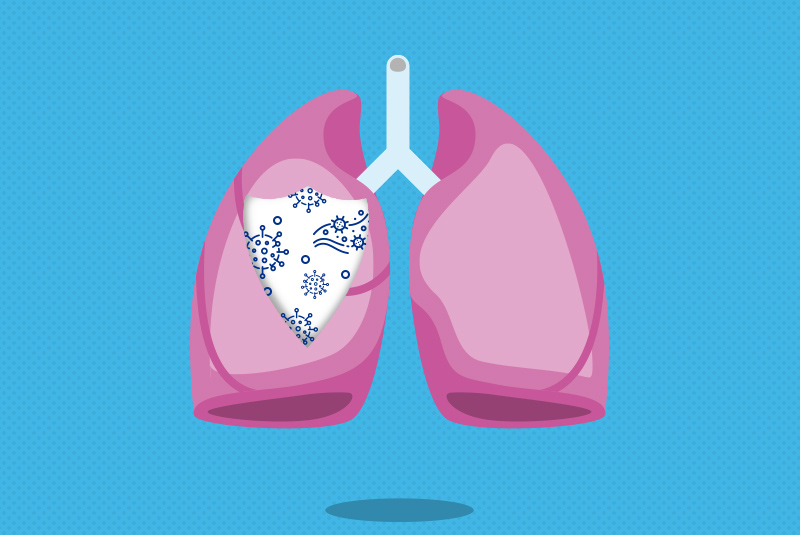 lung with shield and COVID-19