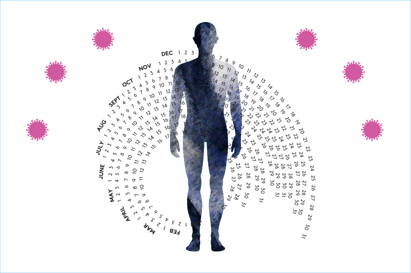 virus calendar person