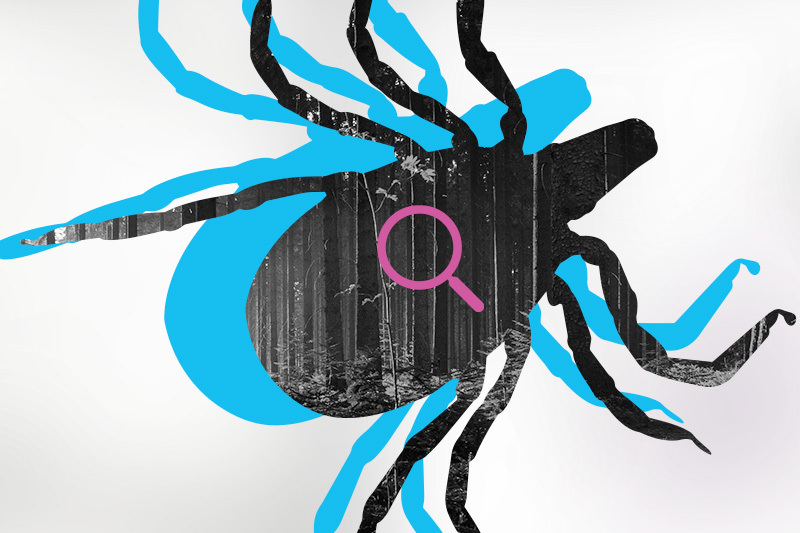 Drawing of a tick that could cause Lyme disease with a magnifying glass on his back.