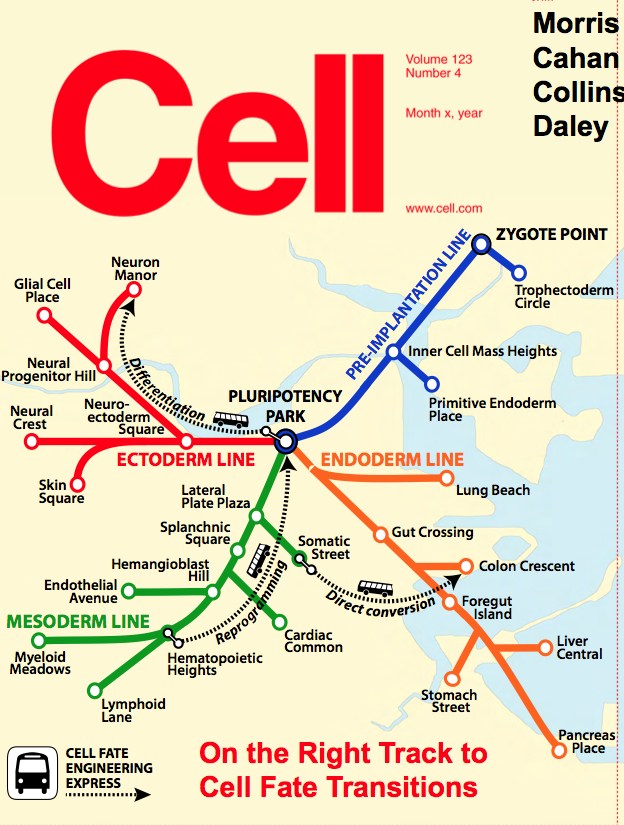 CellNet concept - predicting fates of stem cells