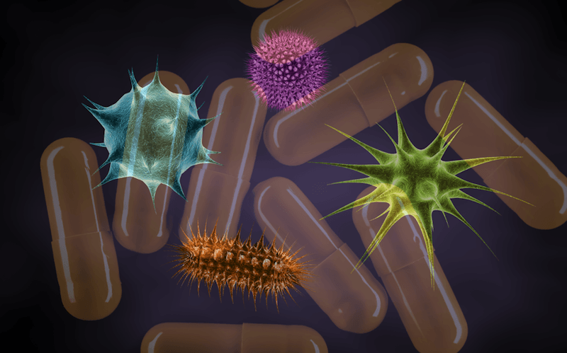 fecal transplant concept