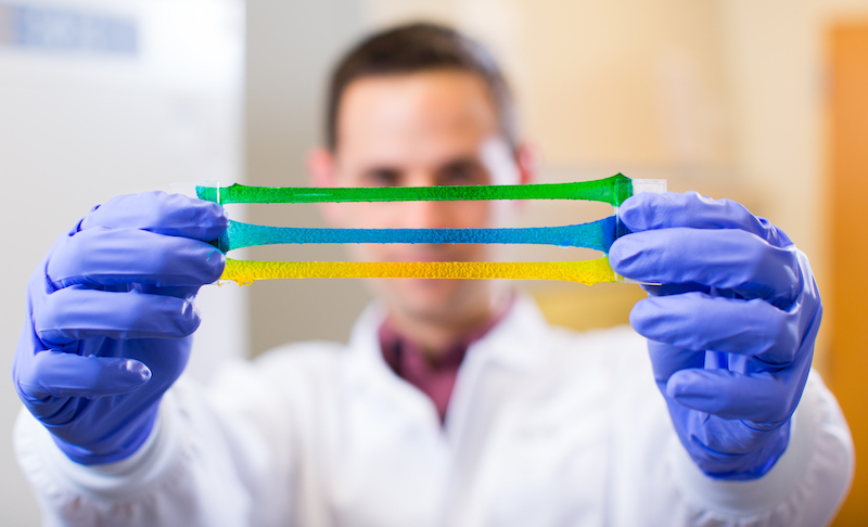 image of a clinician holding up strands of a gel adhesive