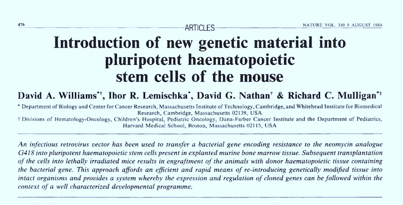 research paper on genes